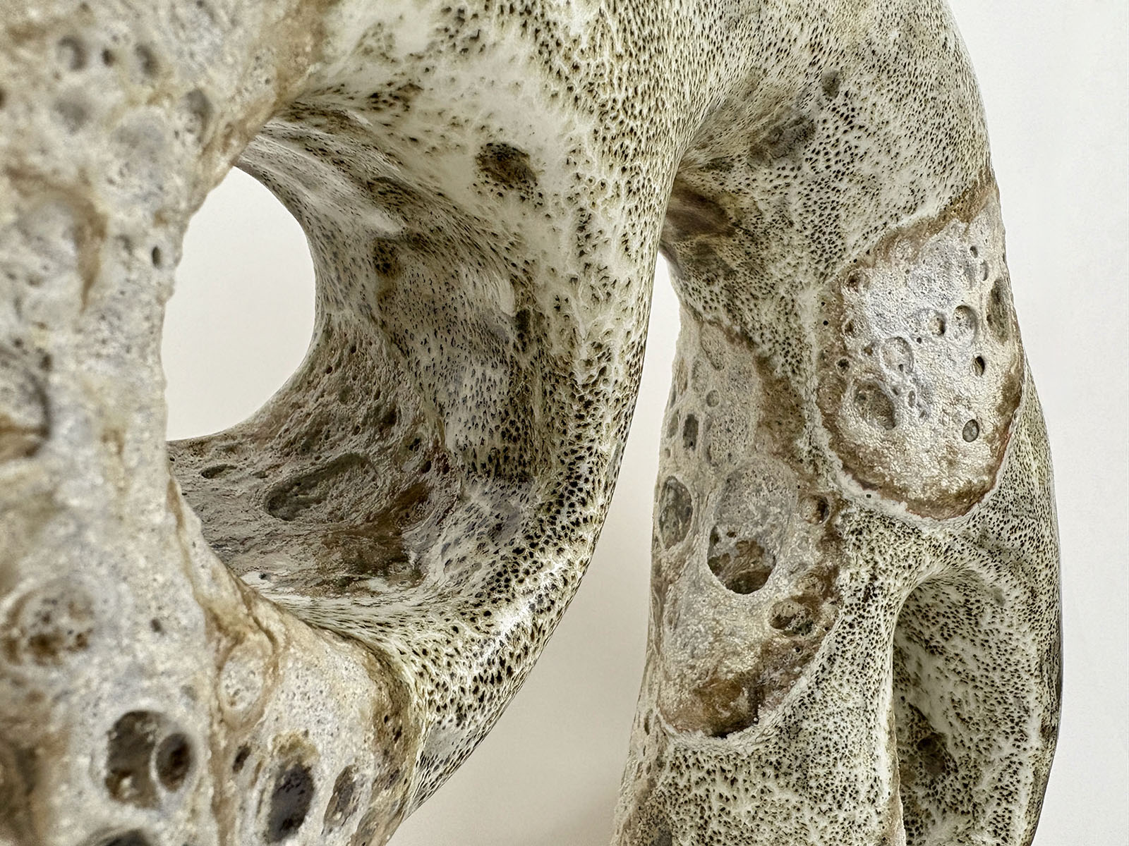 Botanical Mildew