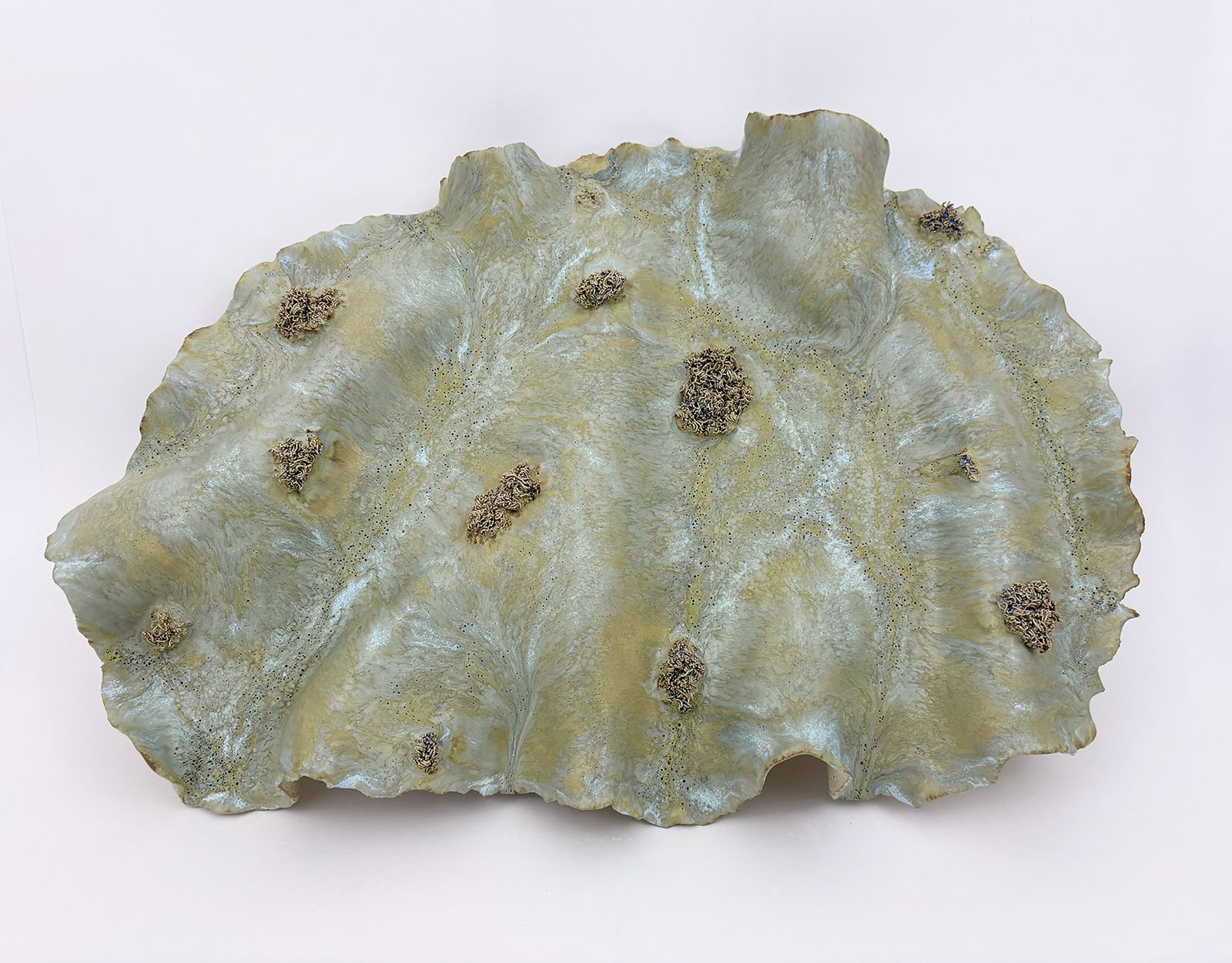 Fossilized Undergrowth