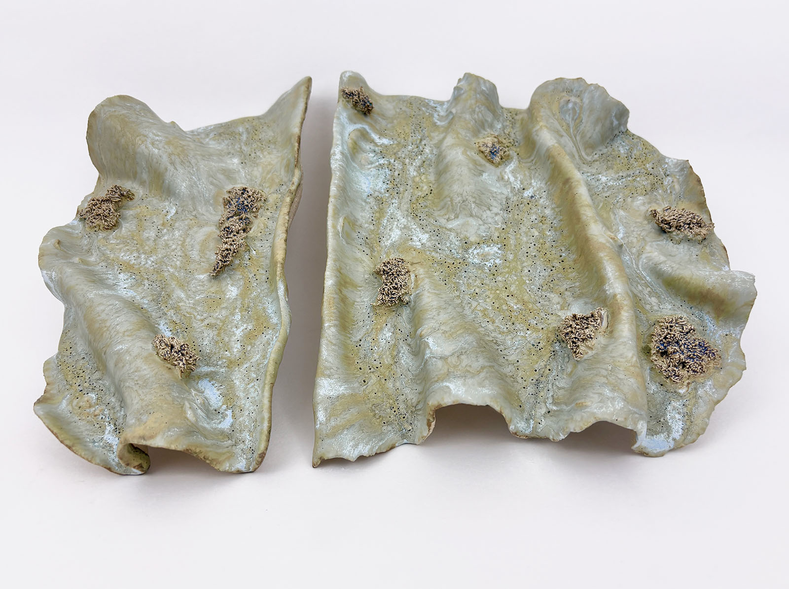 Fossilized Undergrowth