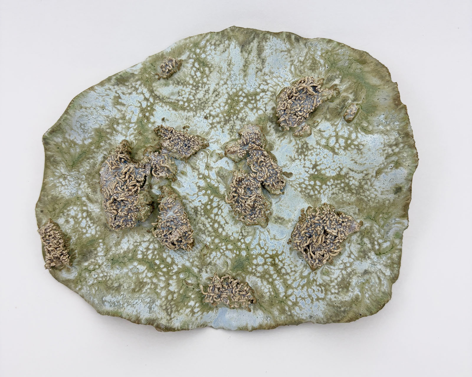 Fossilized Undergrowth