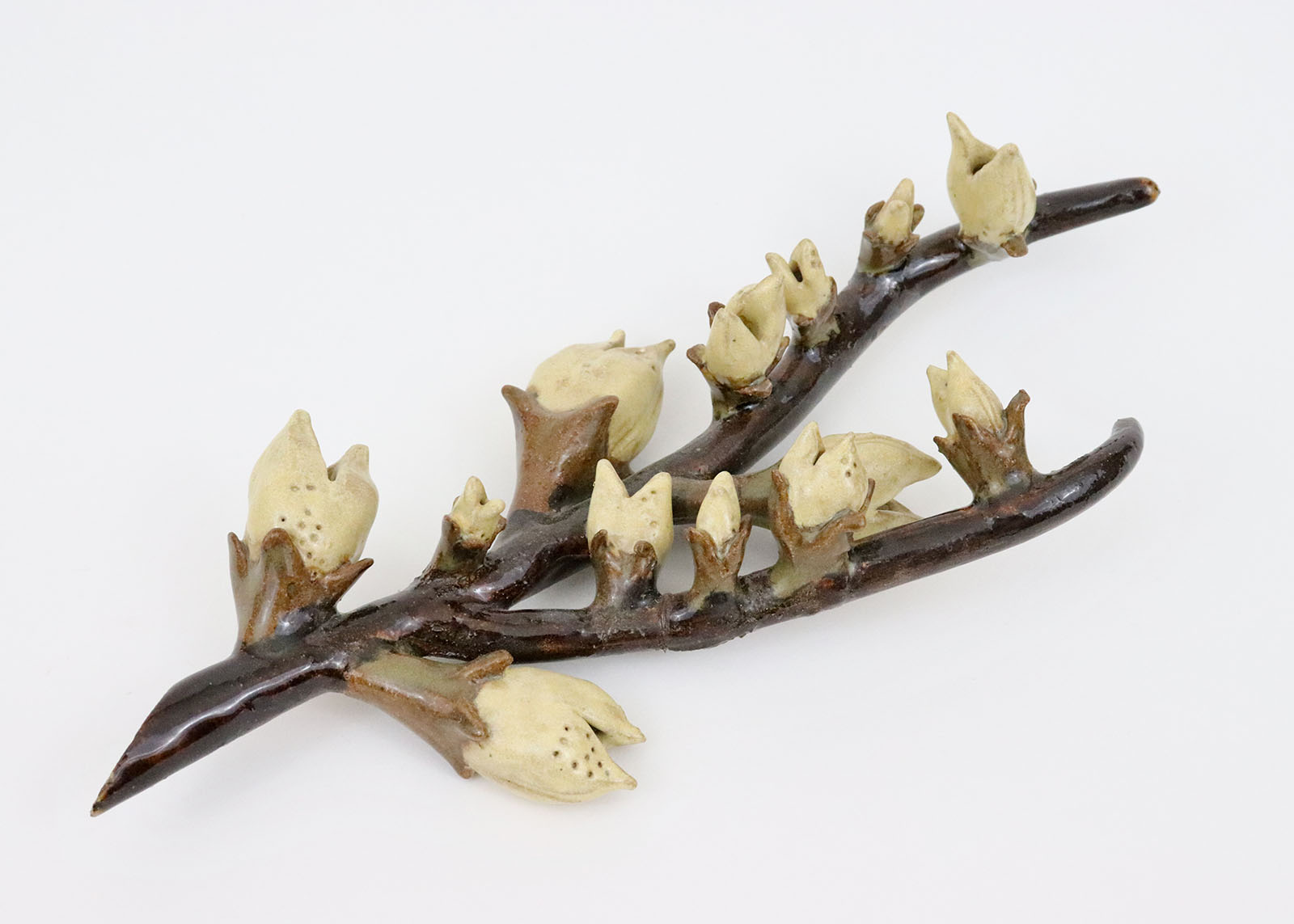 Seed Pod #3