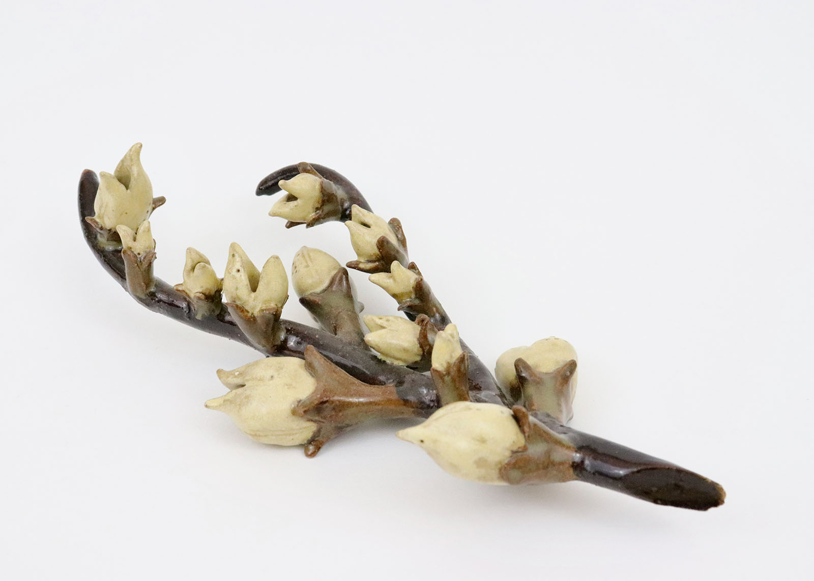 Seed Pod #3